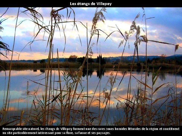 Les étangs de Villepey Remarquable site naturel, les étangs de Villepey forment une des