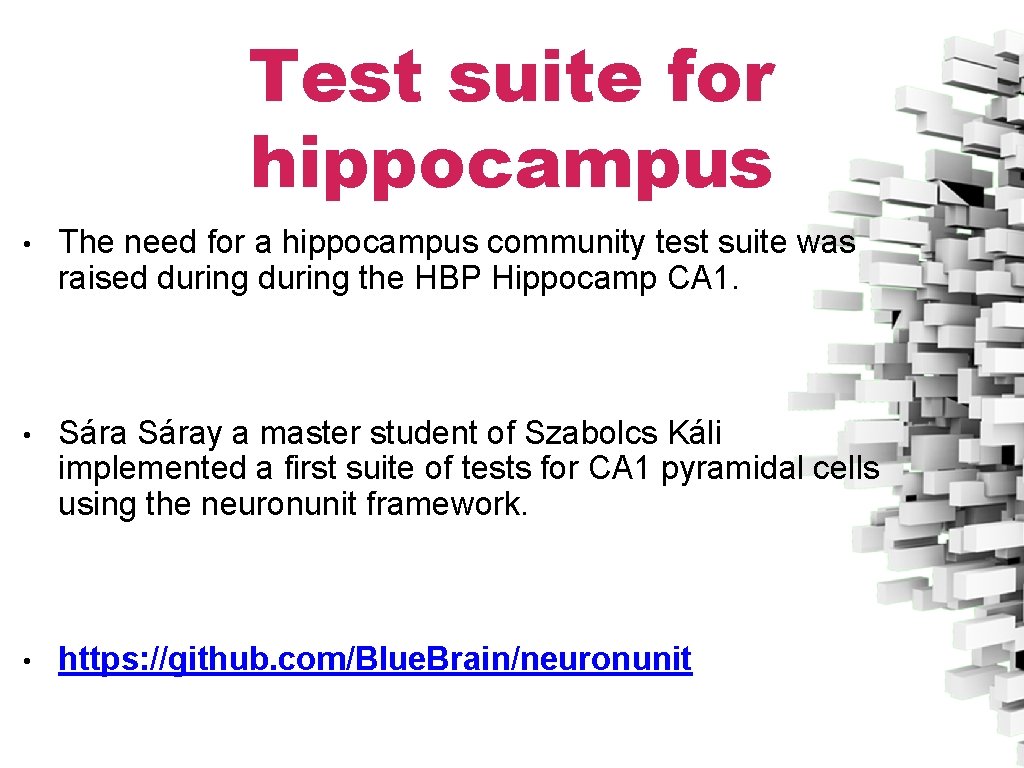 Test suite for hippocampus • The need for a hippocampus community test suite was