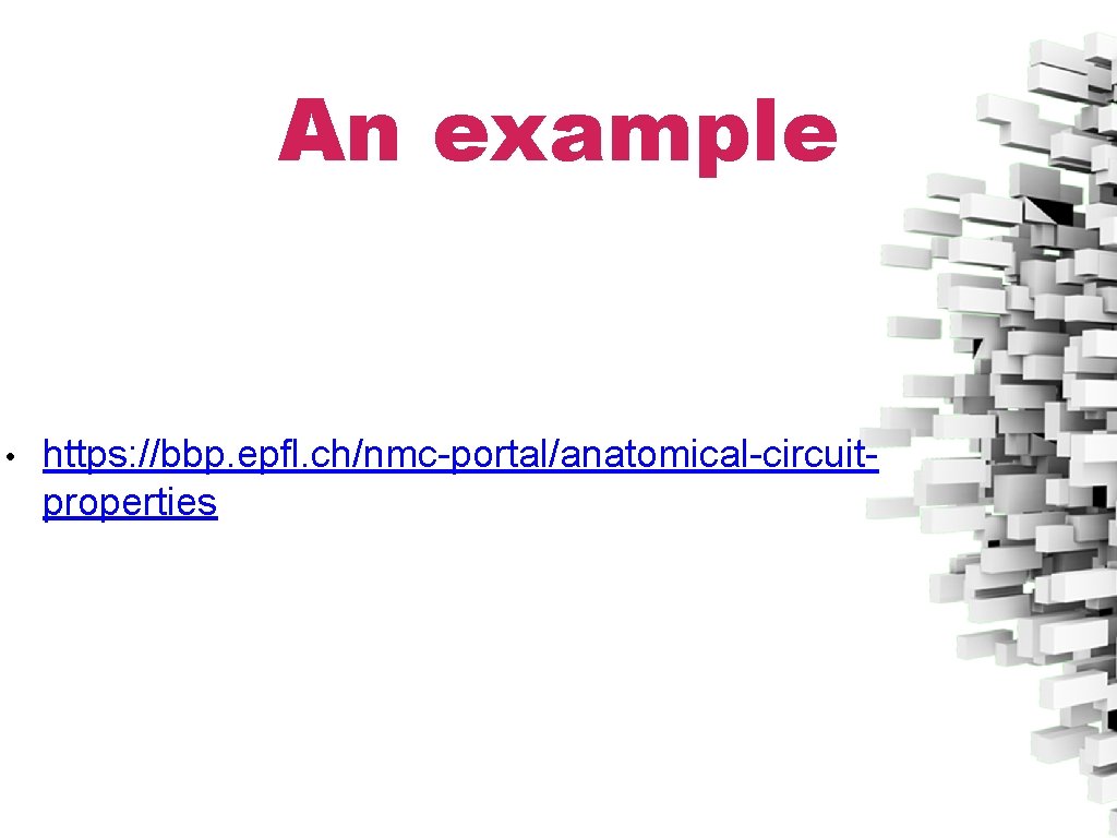 An example • https: //bbp. epfl. ch/nmc-portal/anatomical-circuitproperties 