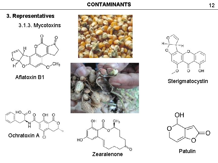 CONTAMINANTS 12 3. Representatives 3. 1. 3. Mycotoxins Aflatoxin B 1 Sterigmatocystin Ochratoxin A