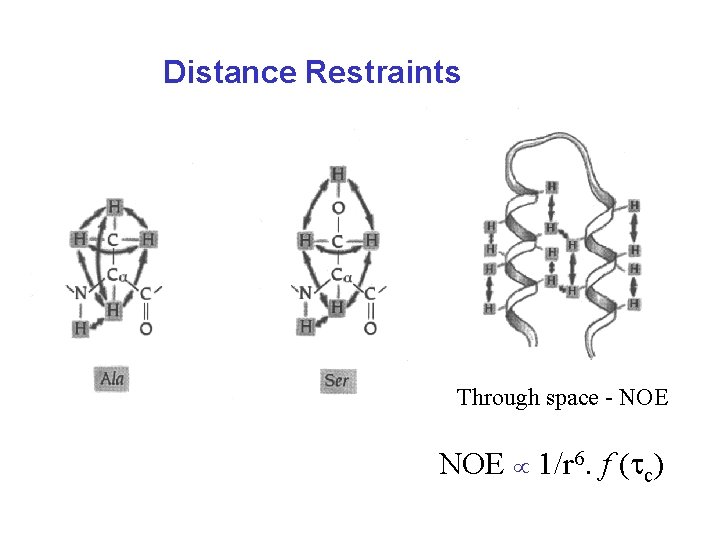 Distance Restraints Through space - NOE 1/r 6. f (tc) 