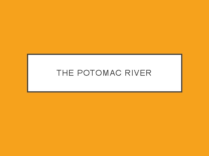 THE POTOMAC RIVER 
