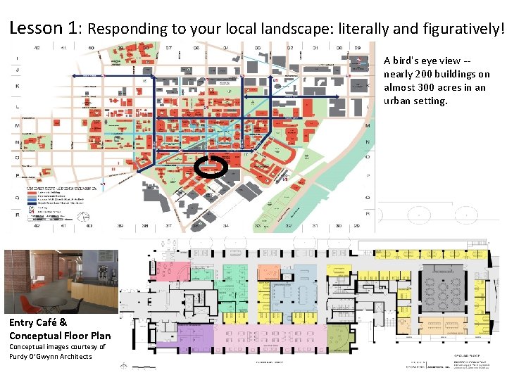 Lesson 1: Responding to your local landscape: literally and figuratively! A bird's eye view