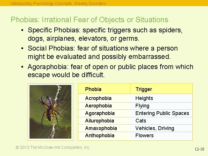 Introductory Psychology Concepts: Anxiety Disorders Phobias: Irrational Fear of Objects or Situations • Specific