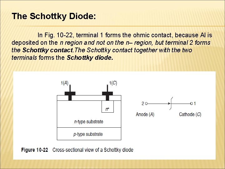 The Schottky Diode: In Fig. 10 -22, terminal 1 forms the ohmic contact, because