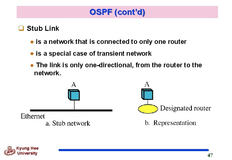 OSPF (cont’d) q Stub Link is a network that is connected to only one