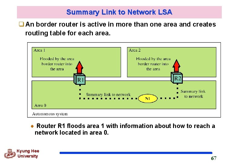 Summary Link to Network LSA q An border router is active in more than