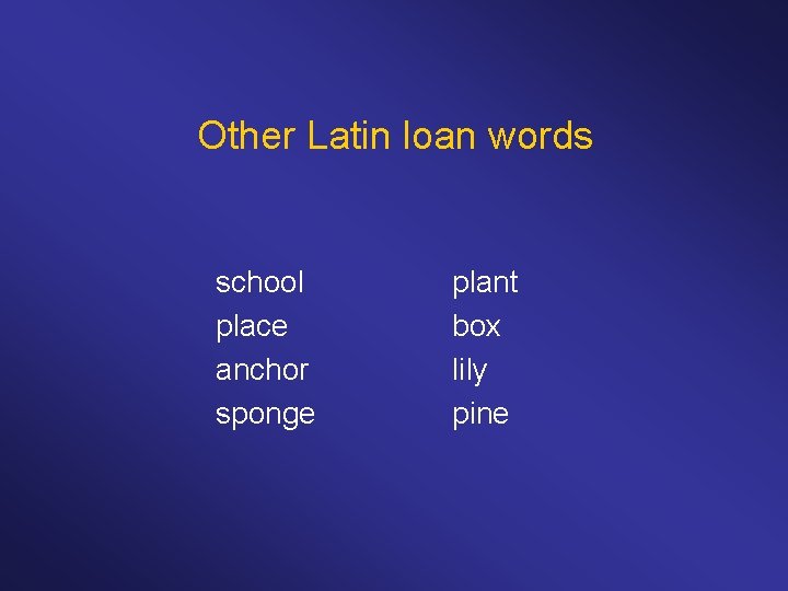 Other Latin loan words school place anchor sponge plant box lily pine 