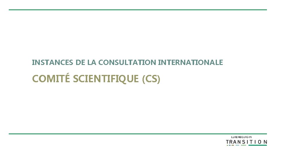 INSTANCES DE LA CONSULTATION INTERNATIONALE COMITÉ SCIENTIFIQUE (CS) 