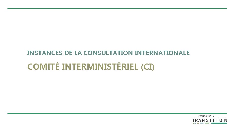 INSTANCES DE LA CONSULTATION INTERNATIONALE COMITÉ INTERMINISTÉRIEL (CI) 
