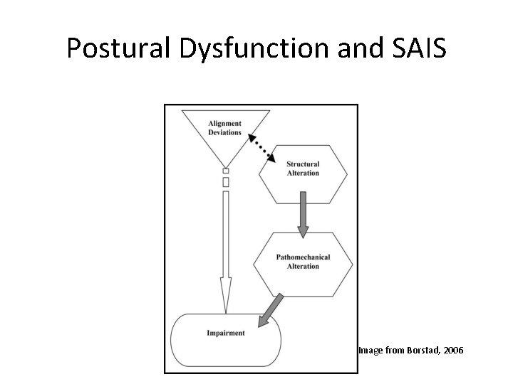 Postural Dysfunction and SAIS Image from Borstad, 2006 