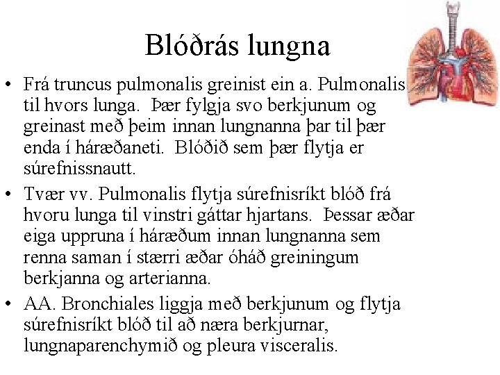 Blóðrás lungna • Frá truncus pulmonalis greinist ein a. Pulmonalis til hvors lunga. Þær