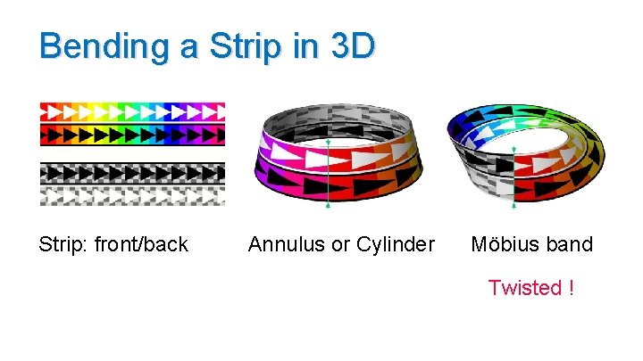 Bending a Strip in 3 D Strip: front/back Annulus or Cylinder Möbius band Twisted