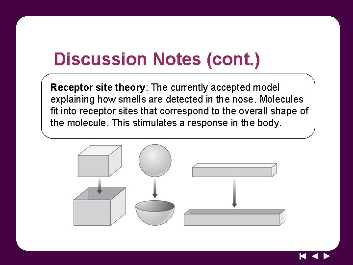 Discussion Notes (cont. ) Receptor site theory: The currently accepted model explaining how smells