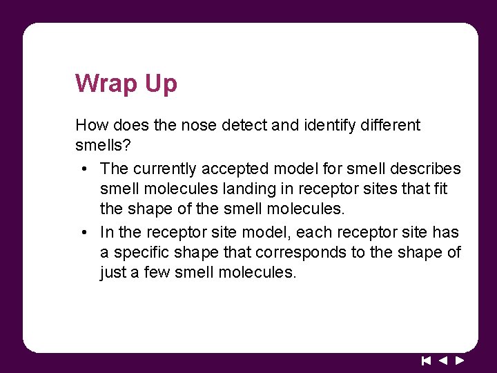 Wrap Up How does the nose detect and identify different smells? • The currently