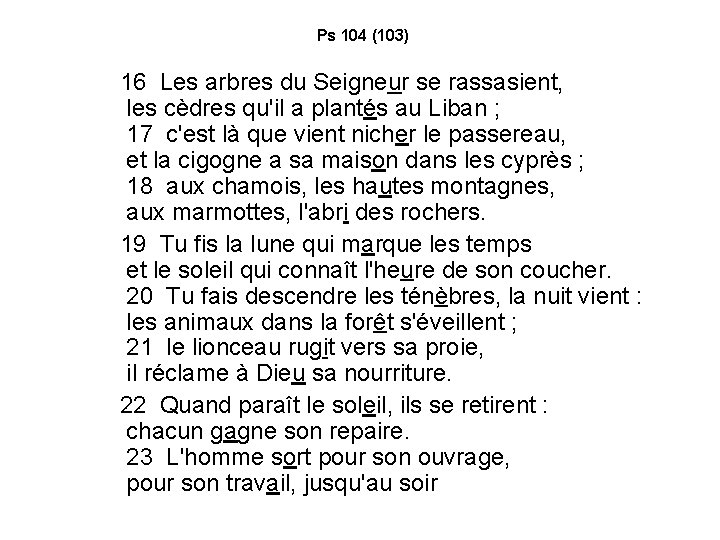 Ps 104 (103) 16 Les arbres du Seigneur se rassasient, les cèdres qu'il a