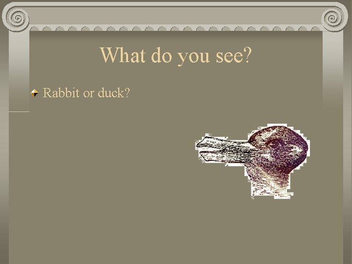 What do you see? Rabbit or duck? 