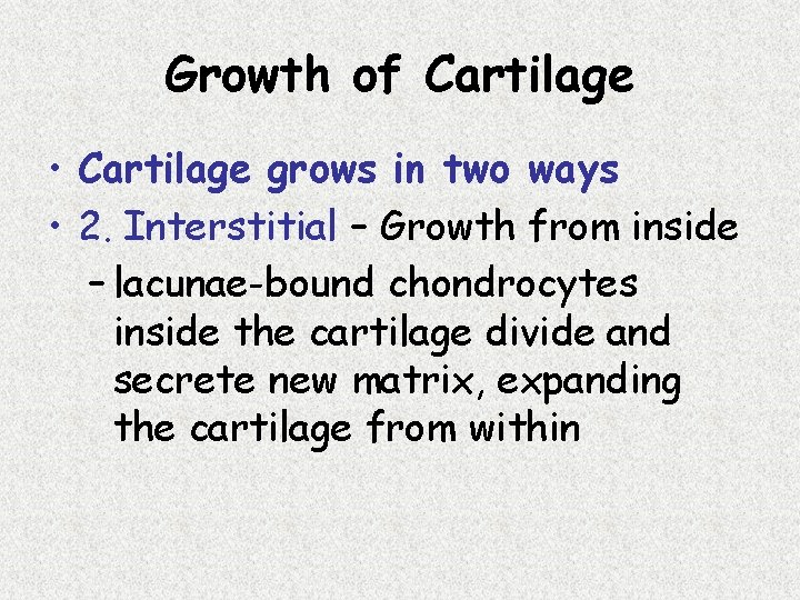 Growth of Cartilage • Cartilage grows in two ways • 2. Interstitial – Growth