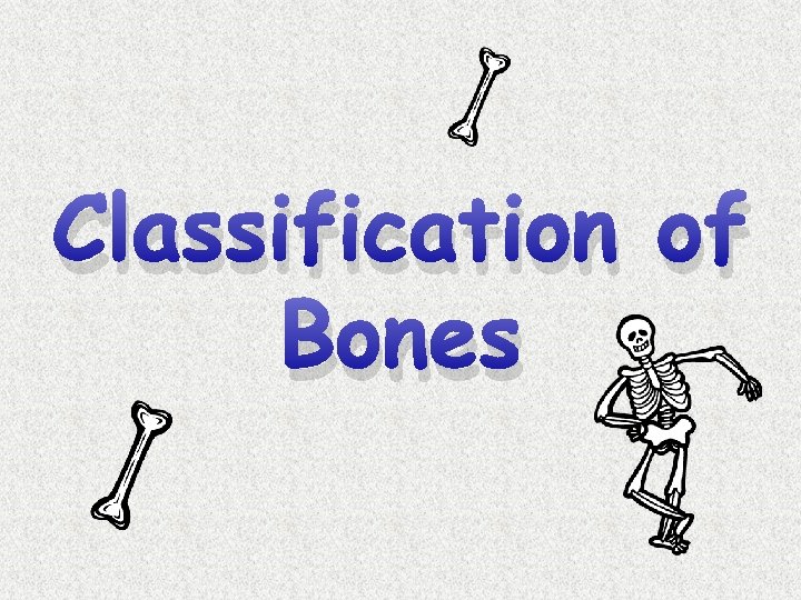 Classification of Bones 
