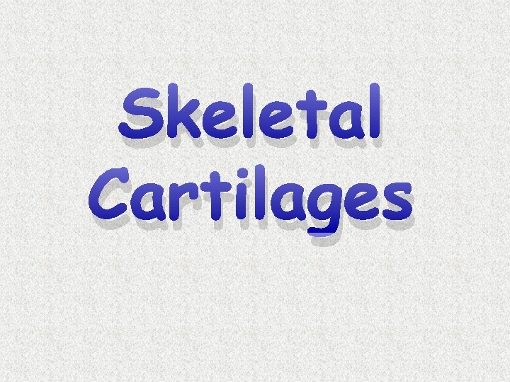 Skeletal Cartilages 