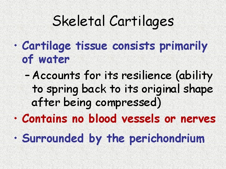 Skeletal Cartilages • Cartilage tissue consists primarily of water – Accounts for its resilience