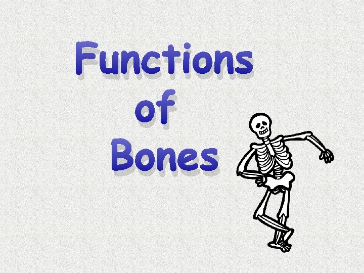 Functions of Bones 