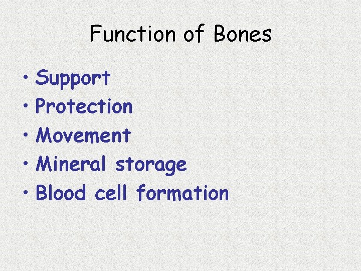 Function of Bones • Support • Protection • Movement • Mineral storage • Blood