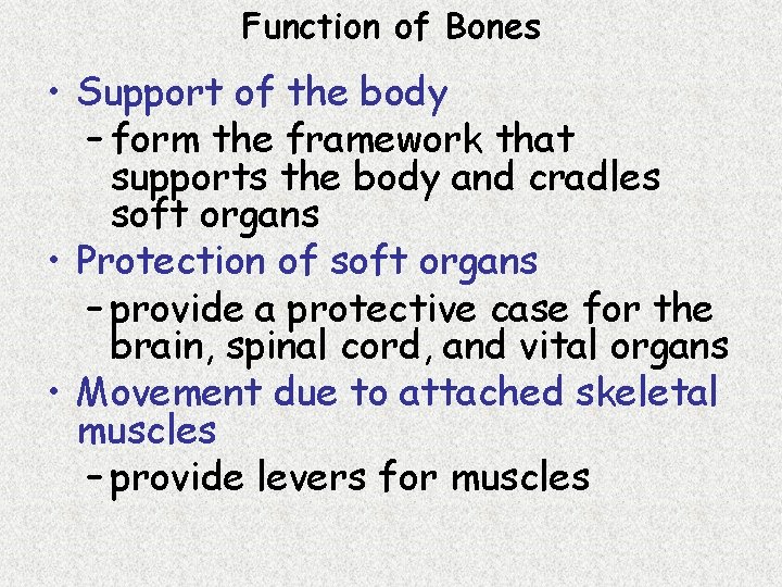 Function of Bones • Support of the body – form the framework that supports