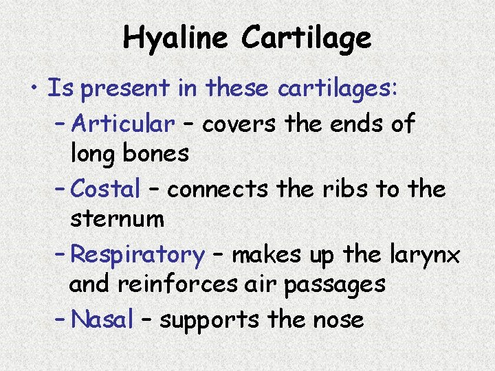 Hyaline Cartilage • Is present in these cartilages: – Articular – covers the ends