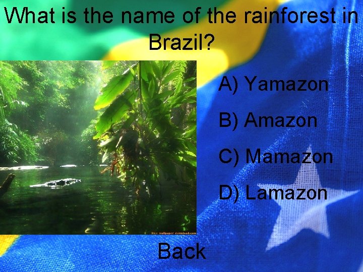 What is the name of the rainforest in Brazil? A) Yamazon B) Amazon C)