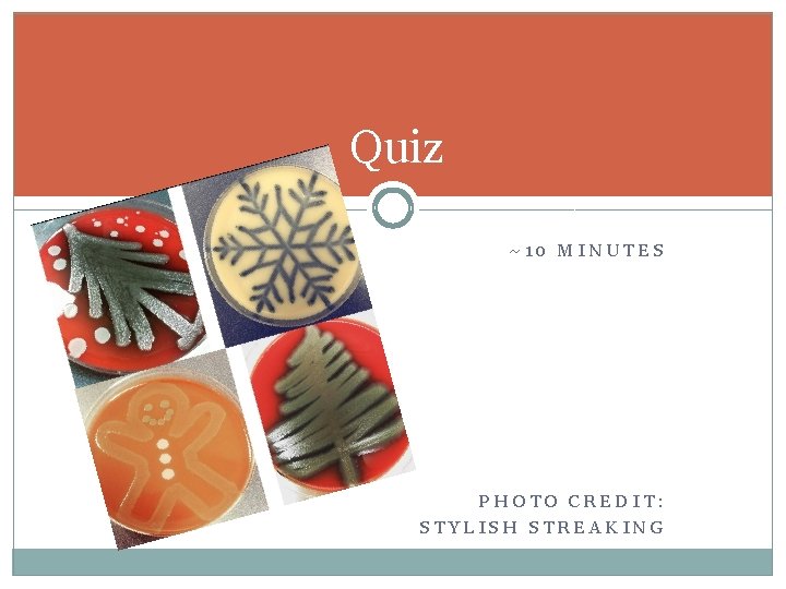 Quiz ~10 MINUTES PHOTO CREDIT: STYLISH STREAKING 