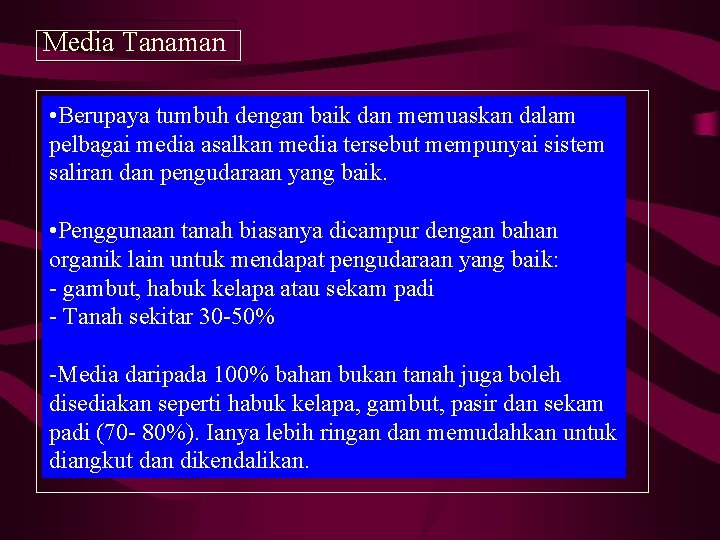 Media Tanaman • Berupaya tumbuh dengan baik dan memuaskan dalam pelbagai media asalkan media