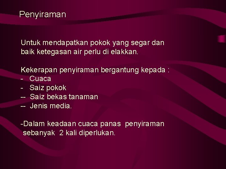 Penyiraman Untuk mendapatkan pokok yang segar dan baik ketegasan air perlu di elakkan. Kekerapan