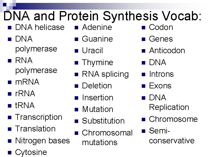 DNA and Protein Synthesis Vocab: n n n n n DNA helicase DNA polymerase