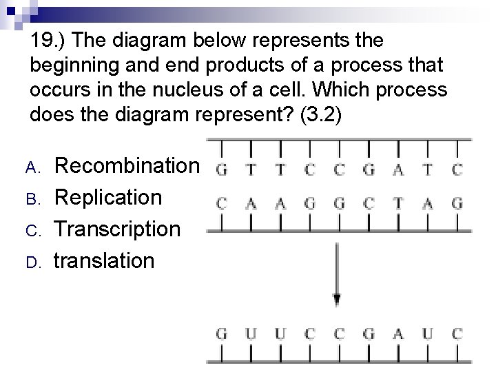 19. ) The diagram below represents the beginning and end products of a process