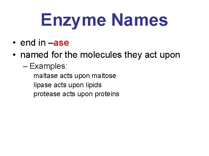 Enzyme Names • end in –ase • named for the molecules they act upon