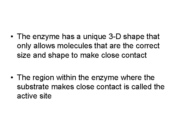  • The enzyme has a unique 3 -D shape that only allows molecules