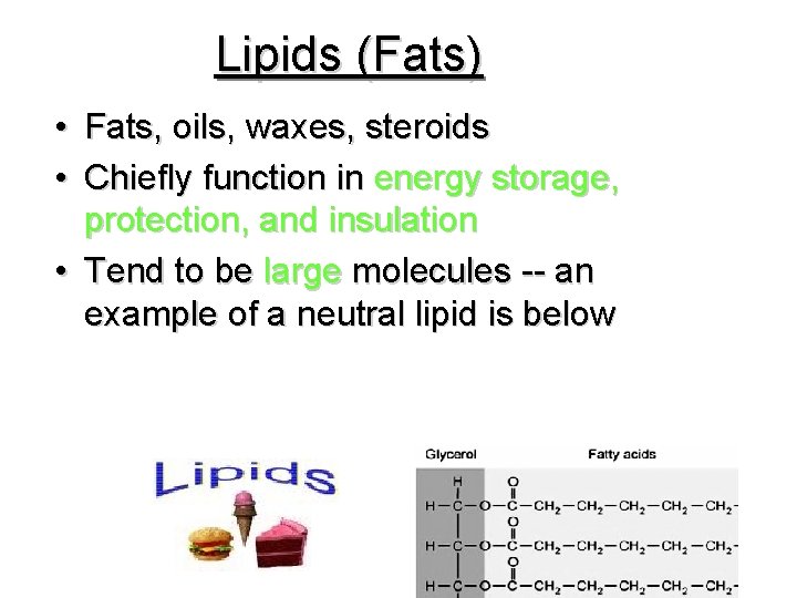 Lipids (Fats) • Fats, oils, waxes, steroids • Chiefly function in energy storage, protection,