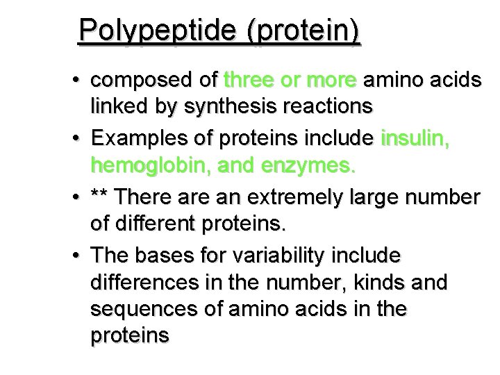 Polypeptide (protein) • composed of three or more amino acids linked by synthesis reactions