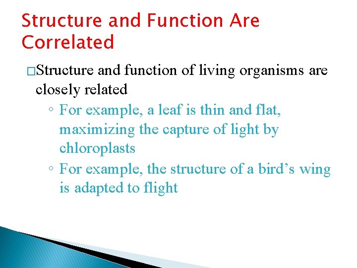 Structure and Function Are Correlated �Structure and function of living organisms are closely related