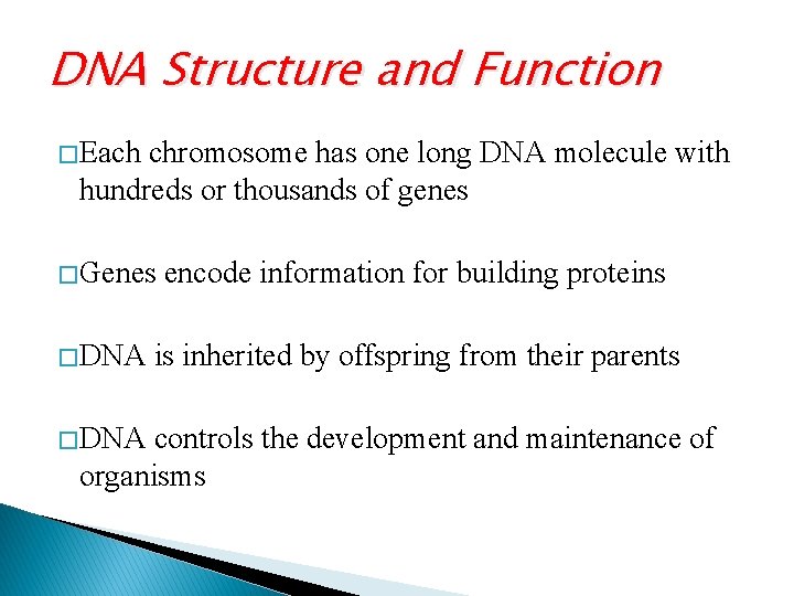DNA Structure and Function � Each chromosome has one long DNA molecule with hundreds