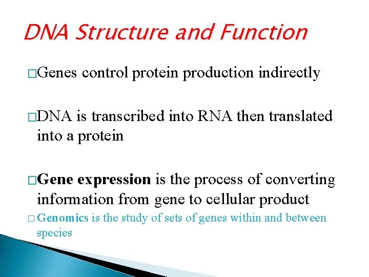 DNA Structure and Function �Genes control protein production indirectly �DNA is transcribed into RNA
