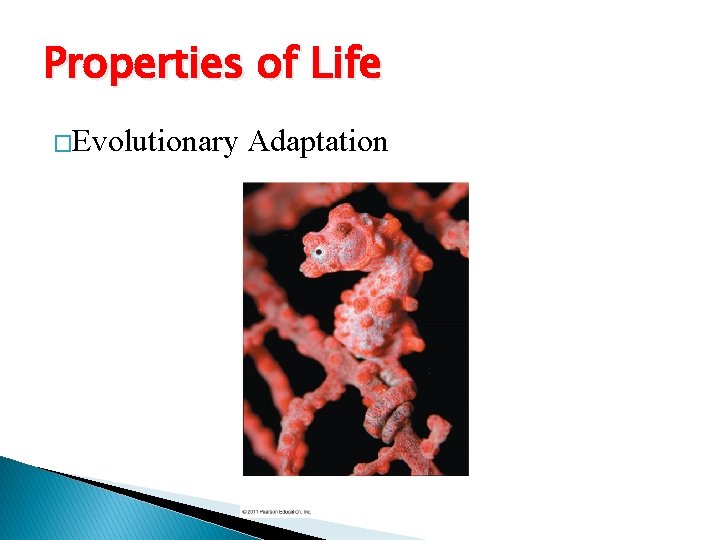 Properties of Life �Evolutionary Adaptation 