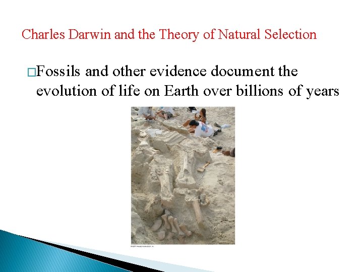 Charles Darwin and the Theory of Natural Selection �Fossils and other evidence document the