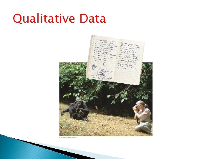 Qualitative Data 