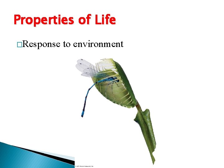 Properties of Life �Response to environment 