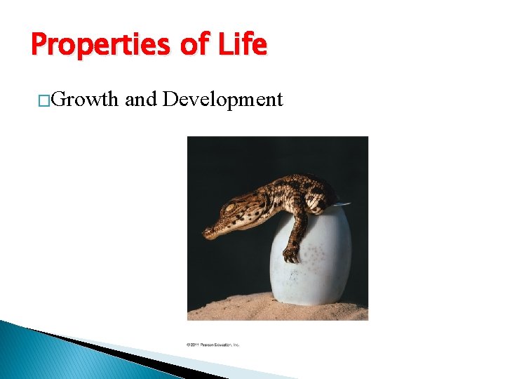 Properties of Life �Growth and Development 