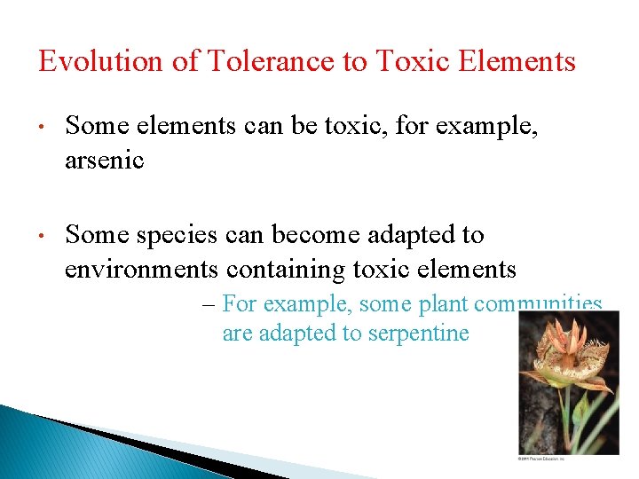 Evolution of Tolerance to Toxic Elements • Some elements can be toxic, for example,