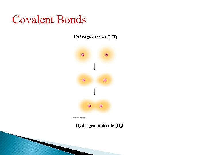 Covalent Bonds Hydrogen atoms (2 H) Hydrogen molecule (H 2) 