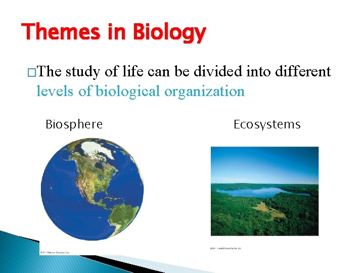 Themes in Biology �The study of life can be divided into different levels of